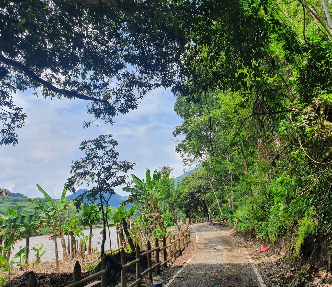 2cde4082-cdb9-489c-8c24-5c59a6f0882f