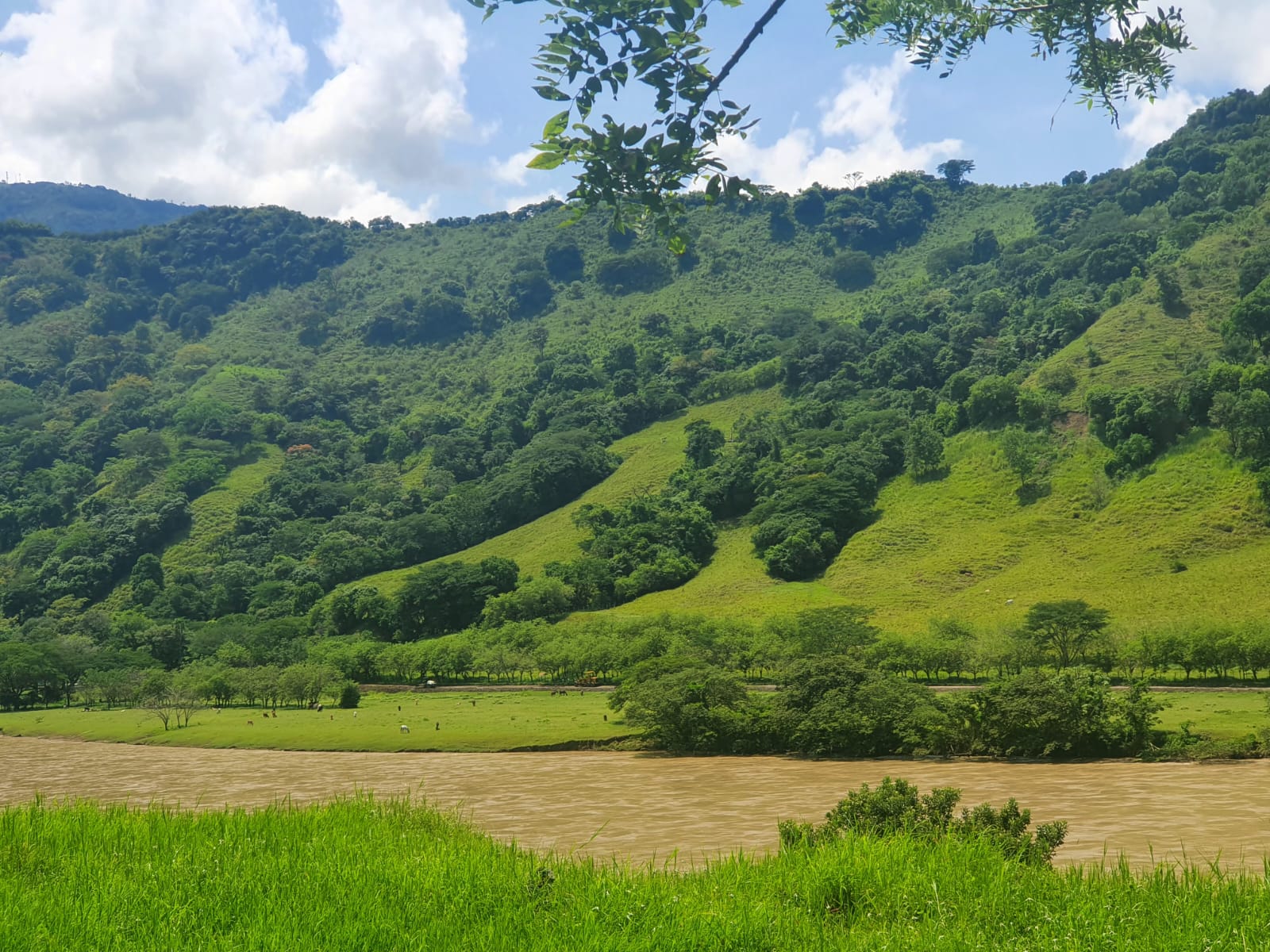 84ef3bee-f06d-4c82-a57a-68e55bdd8ca1