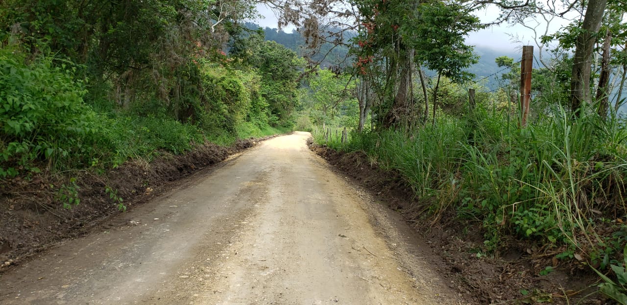 WhatsApp Image 2019-11-26 at 2.46.15 PM