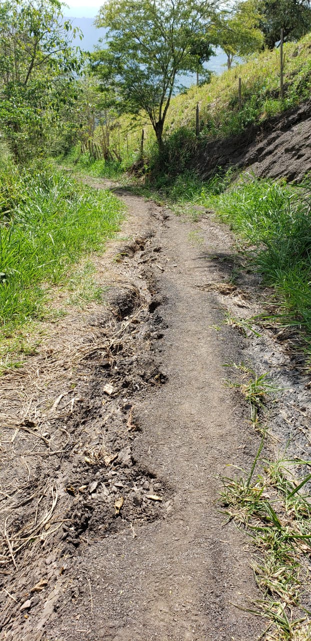 WhatsApp Image 2019-11-26 at 3.09.50 PM